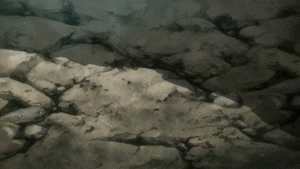 Episode 69 - Put a bow on that Bitch