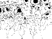 Episode 76 - I'm about to start a coming of age tale